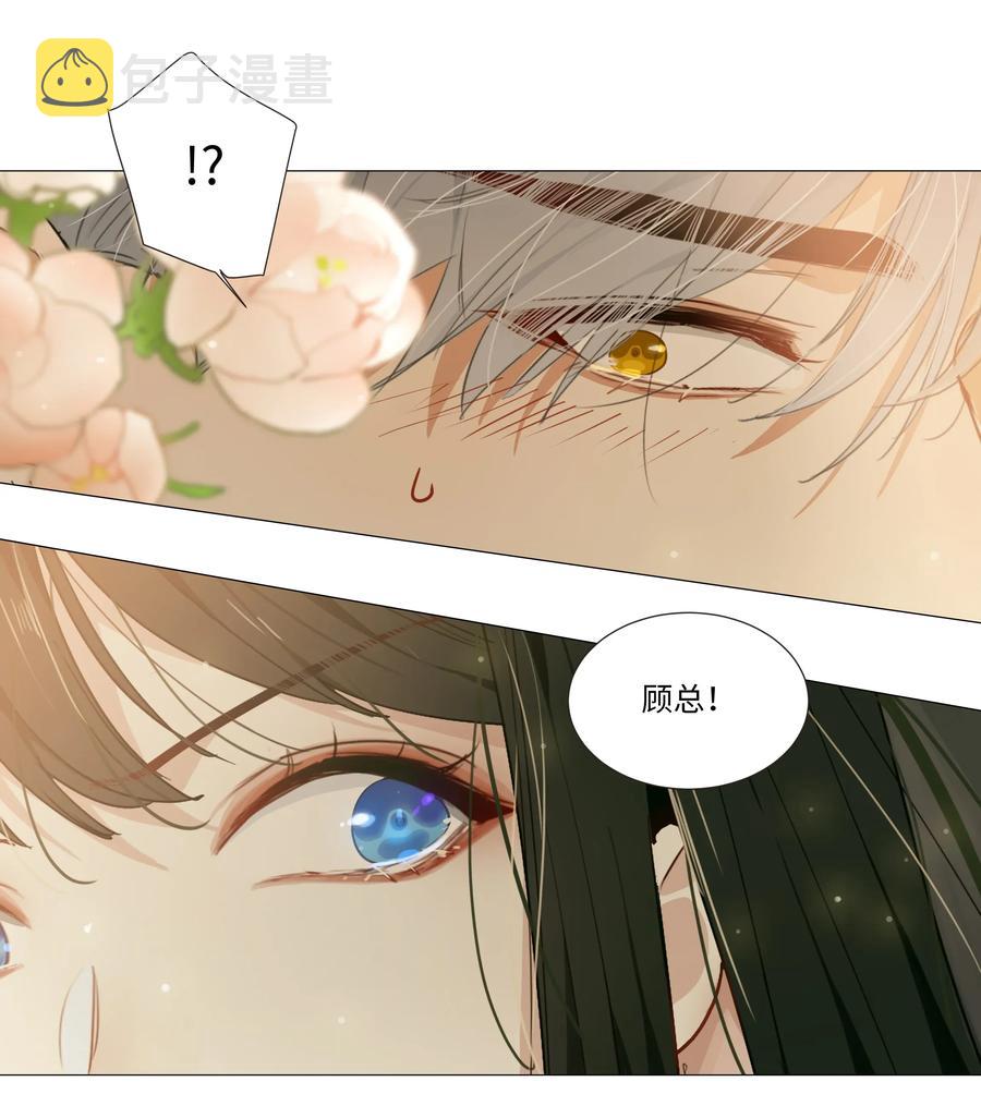 023 顾总，我要上了？7