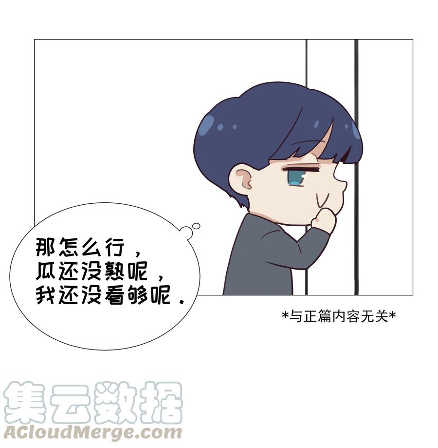 008 抱歉了，顾总！39