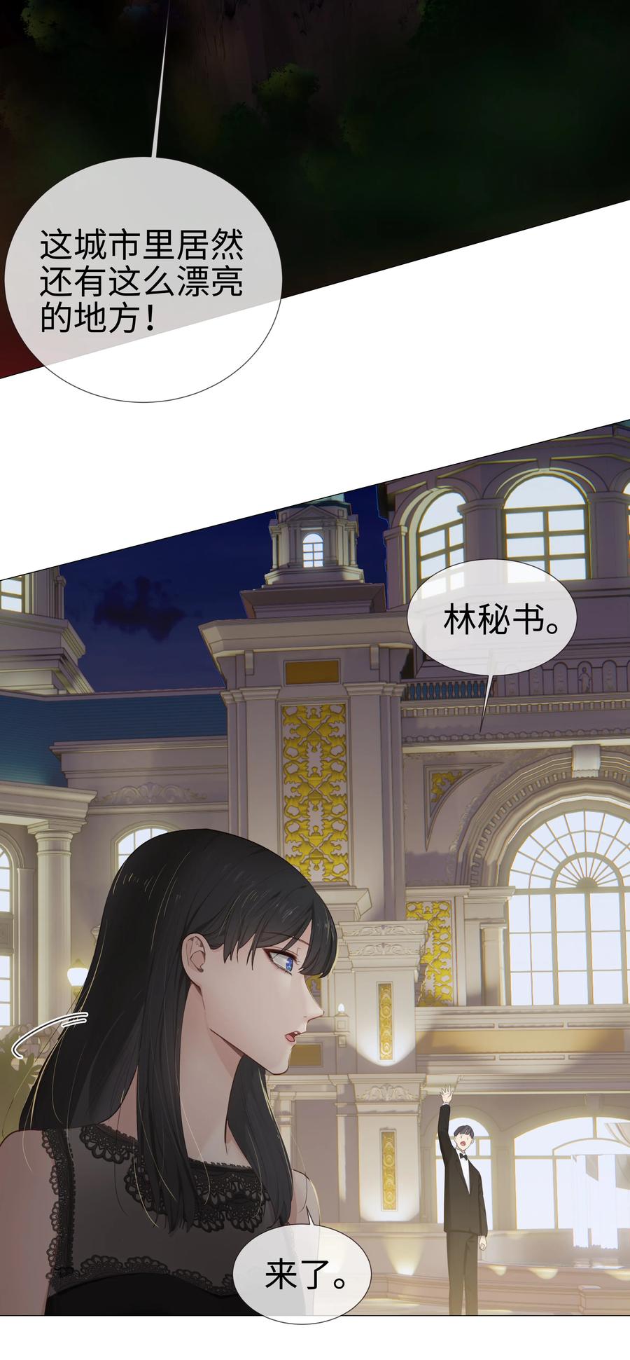 009 这是小晚宴？！11