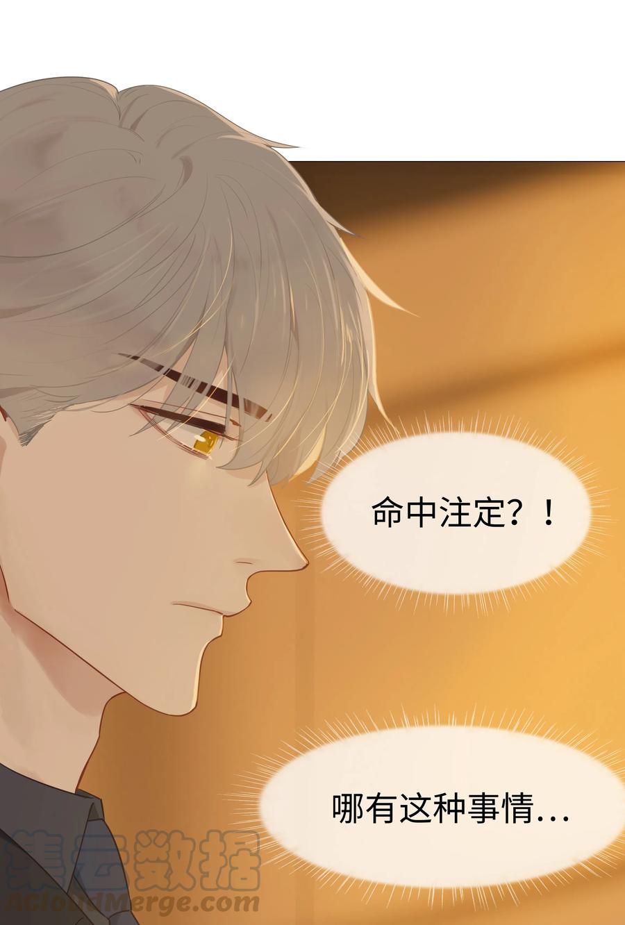 008 抱歉了，顾总！3