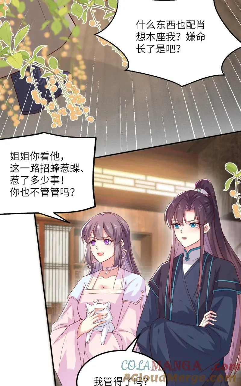 第三百六十九话 招蜂引蝶啦4