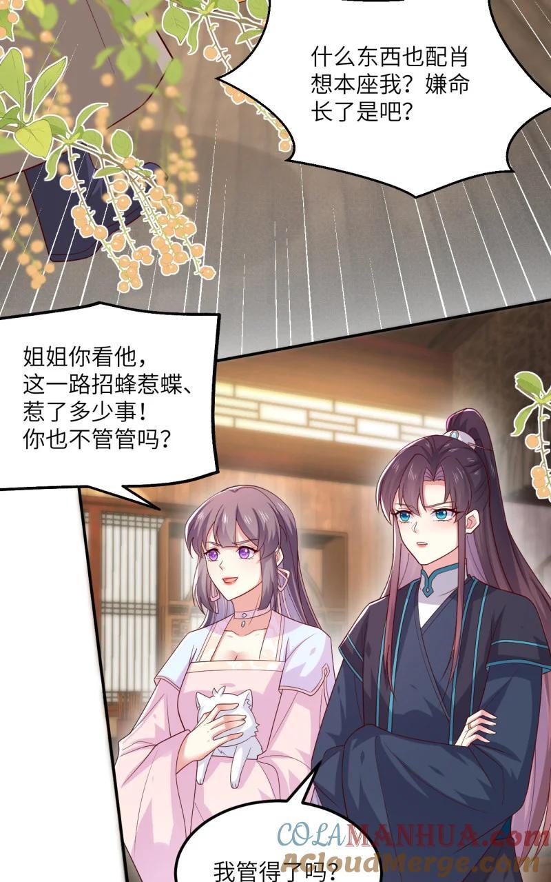 387 第三百六十九话 招蜂引蝶啦4