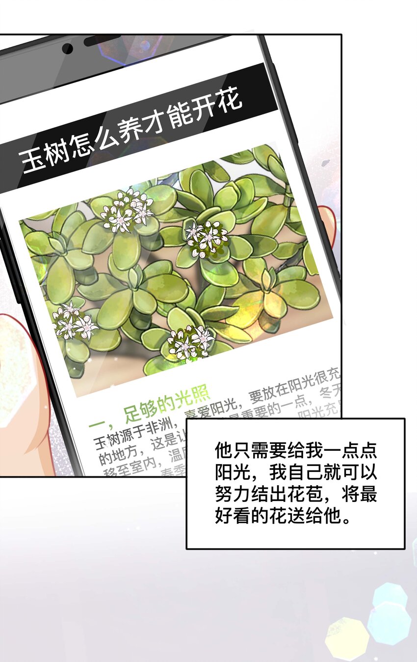 057 一别两宽33