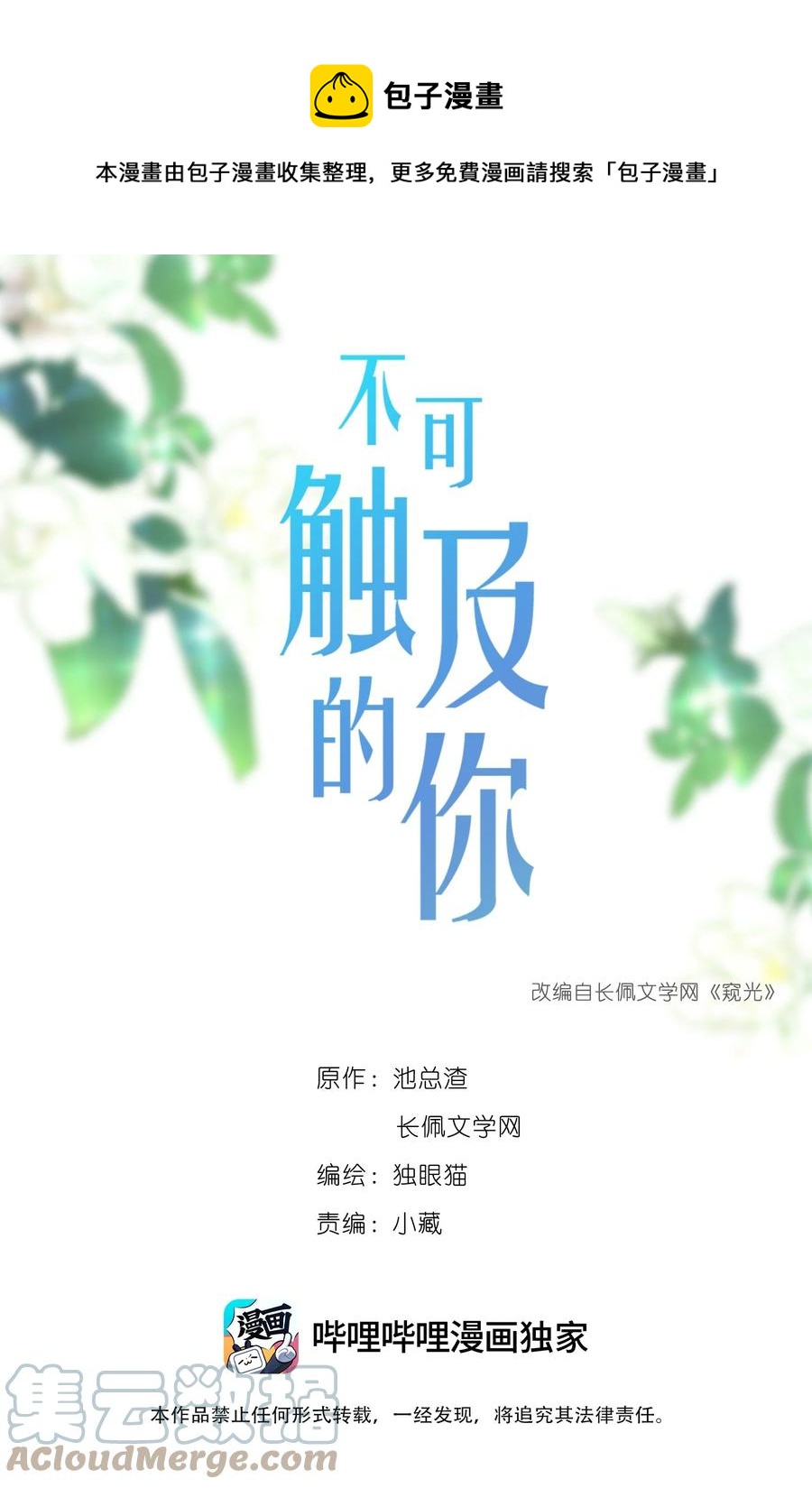 036 美人泪0