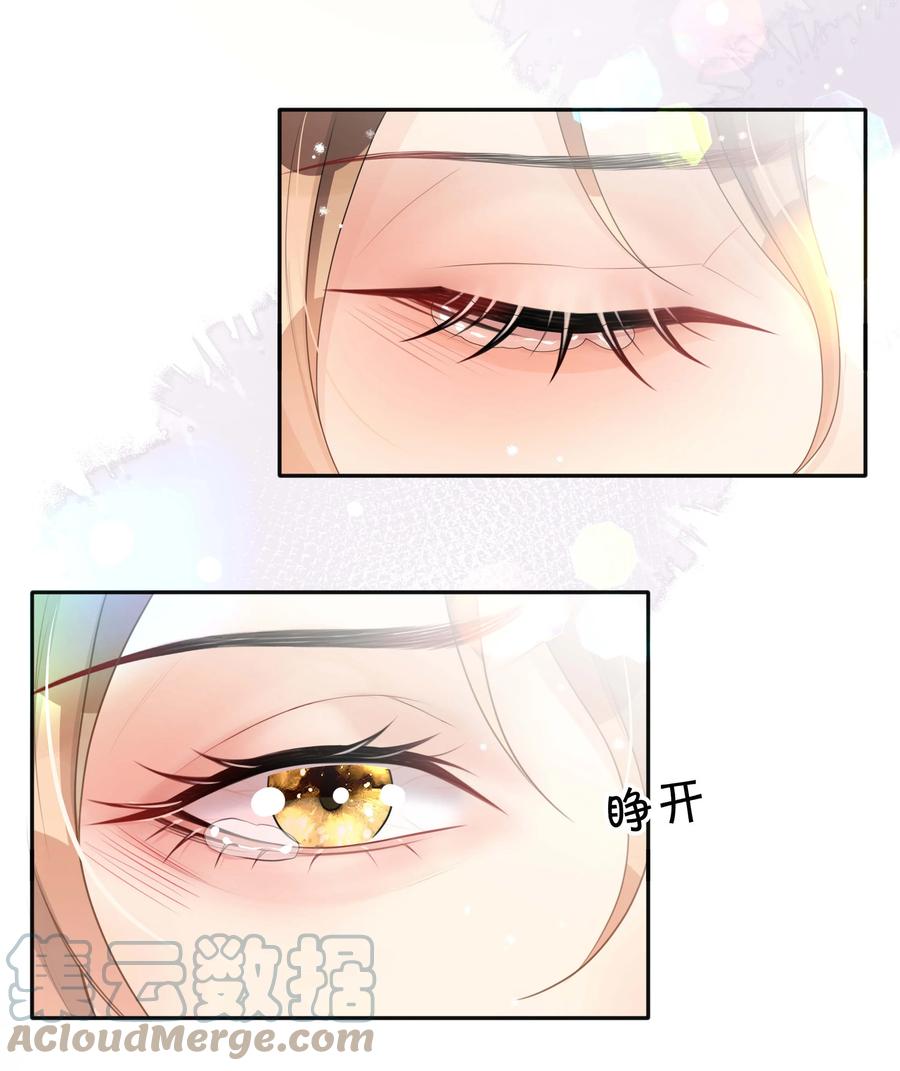 036 美人泪34