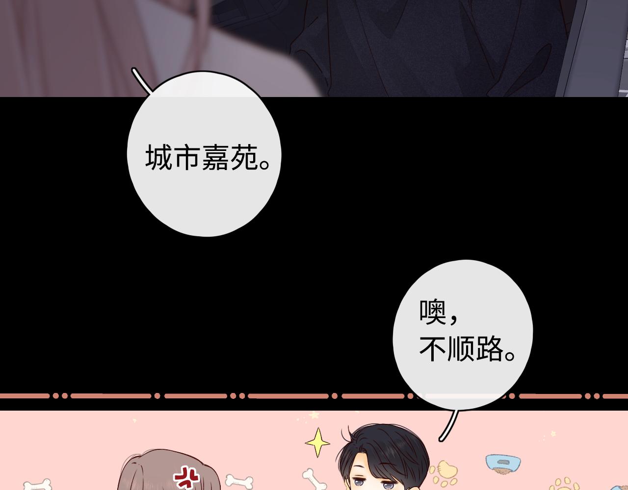 第10话 保护33