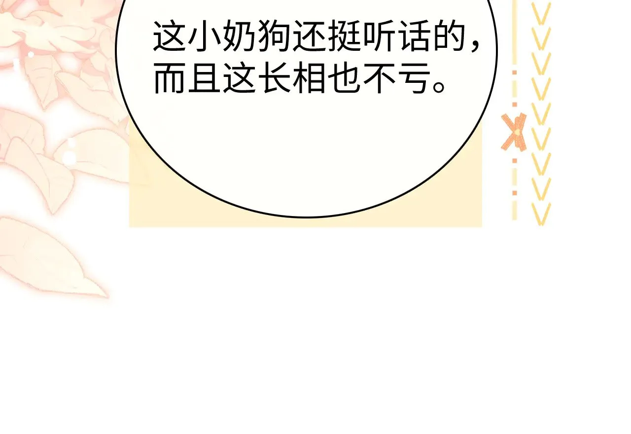 78话 我在追人31