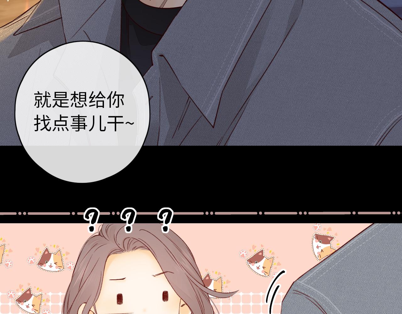 第19集 52054