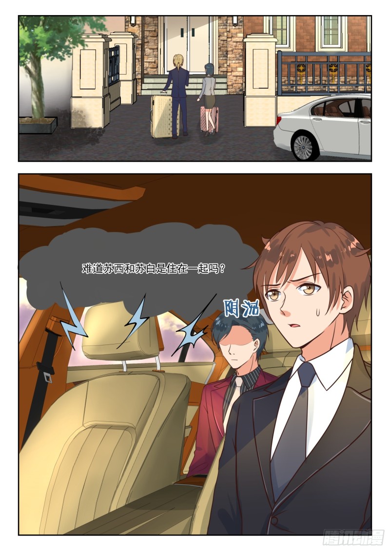 【263】苏西苏白8