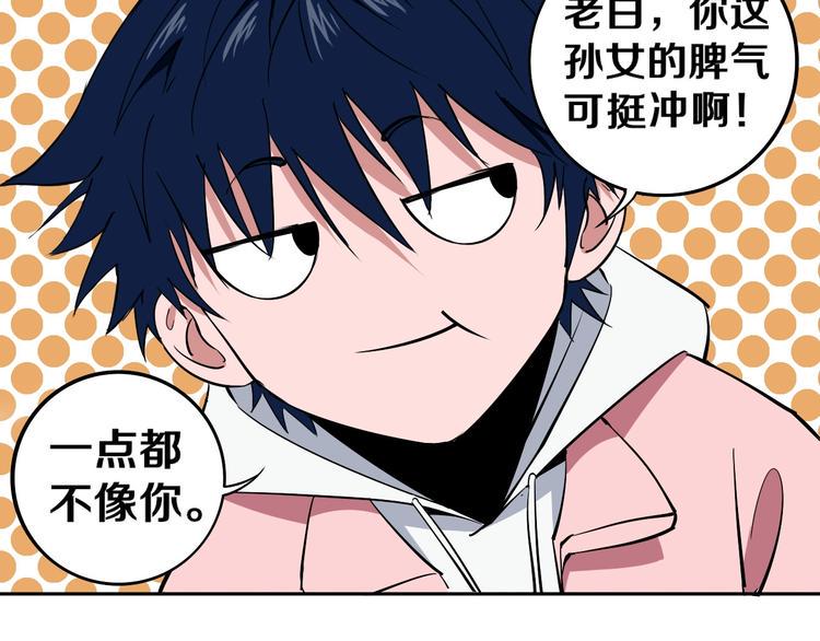 第3话 这脸拉哒的像长白山90