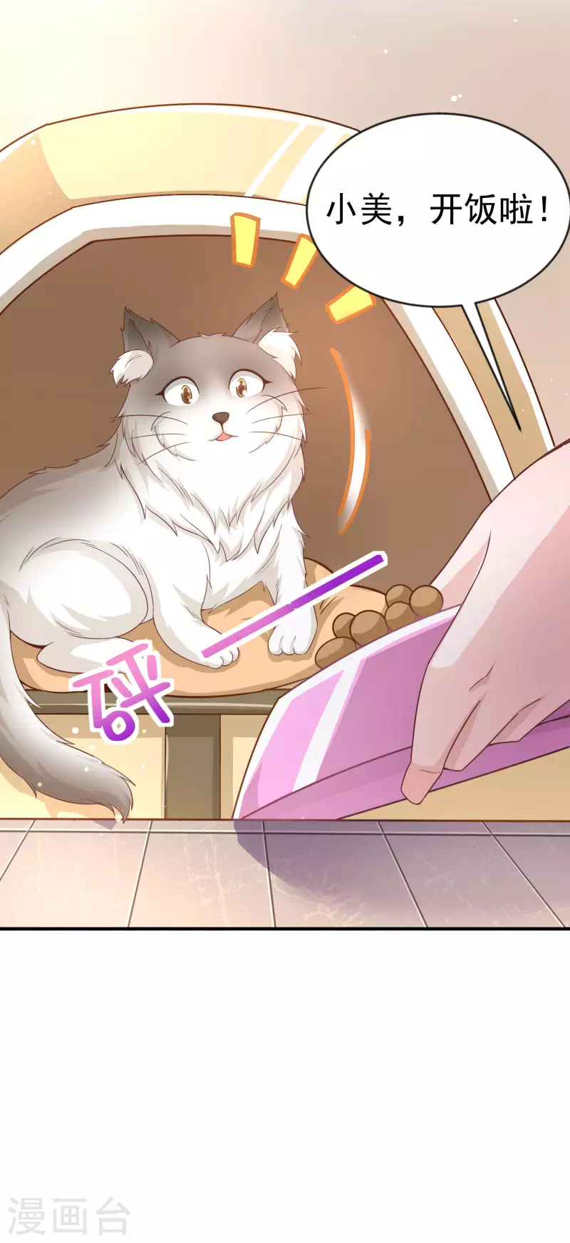 第11话 猫的福利你想象不到3