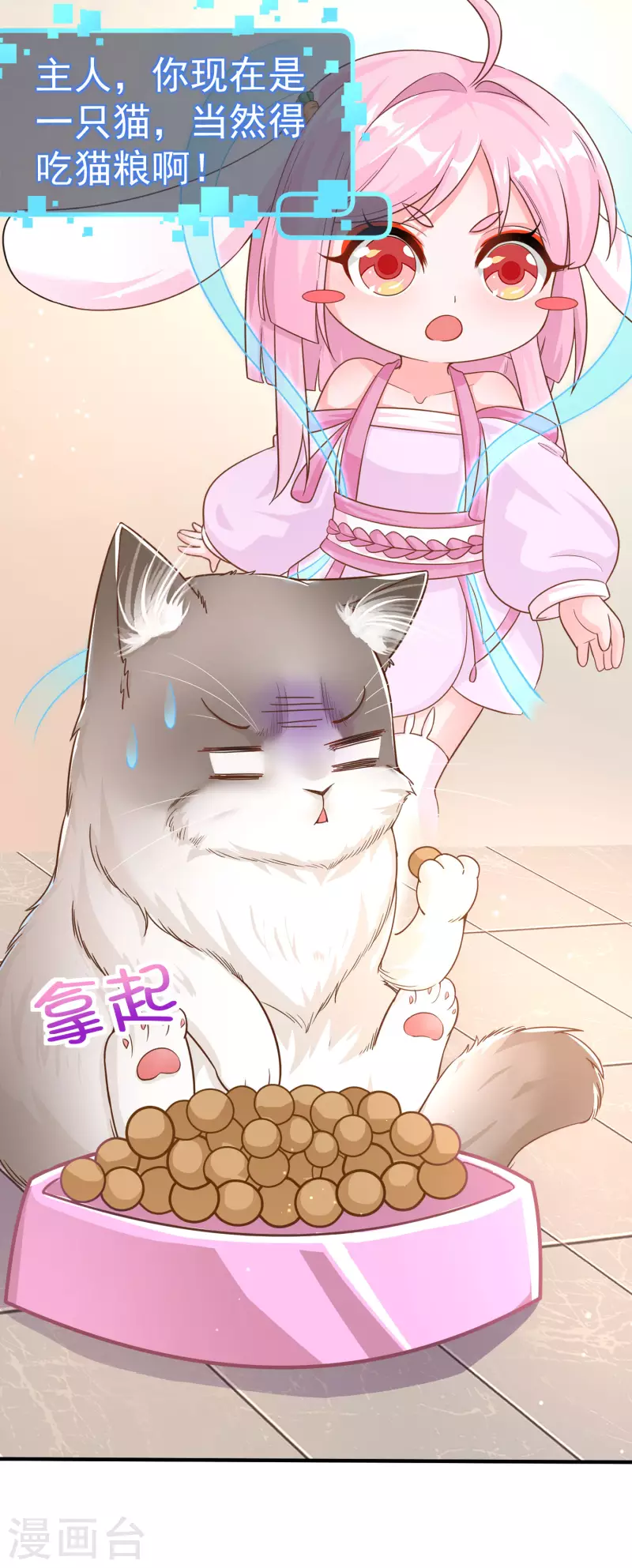 第11话 猫的福利你想象不到6