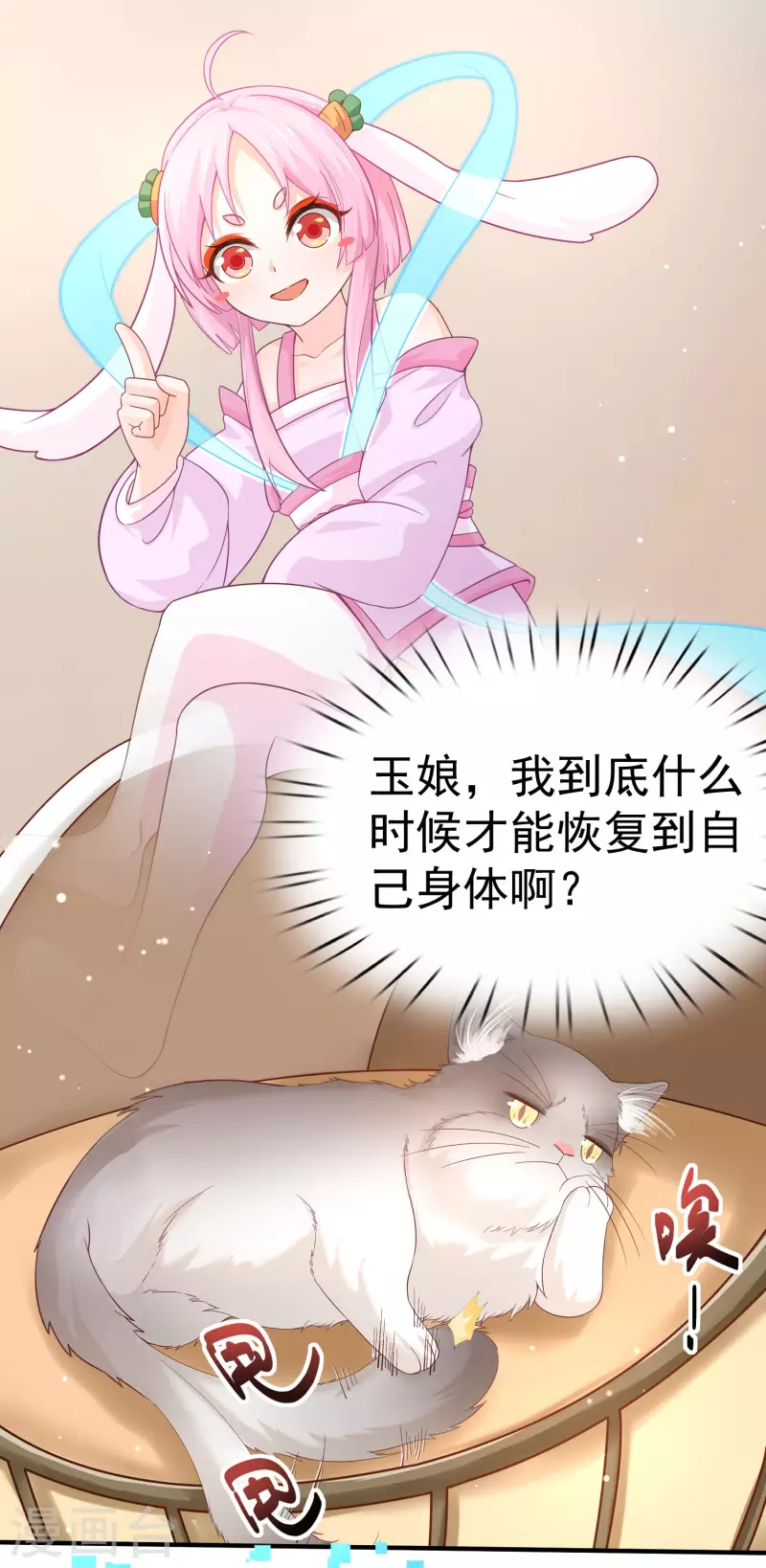 第11话 猫的福利你想象不到1