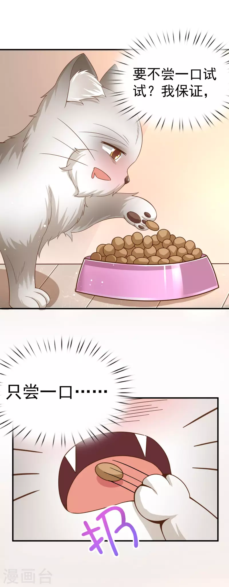 第11话 猫的福利你想象不到9