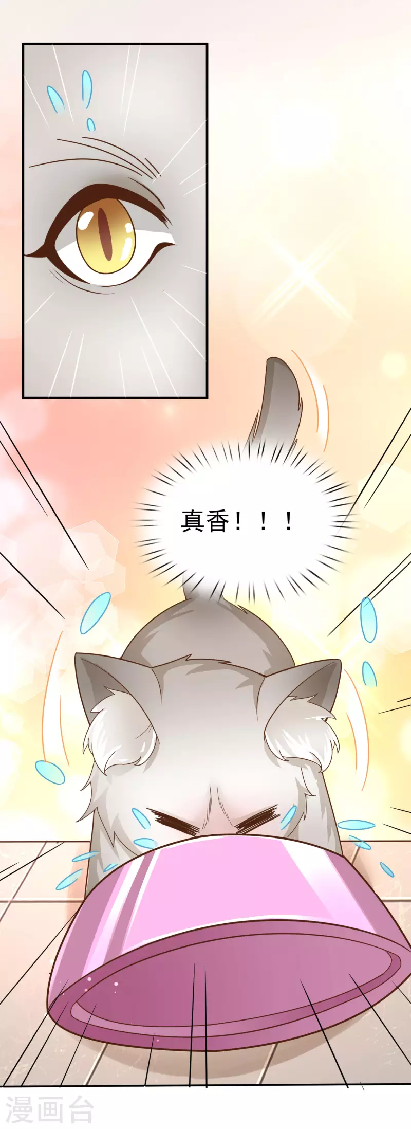 第11话 猫的福利你想象不到10