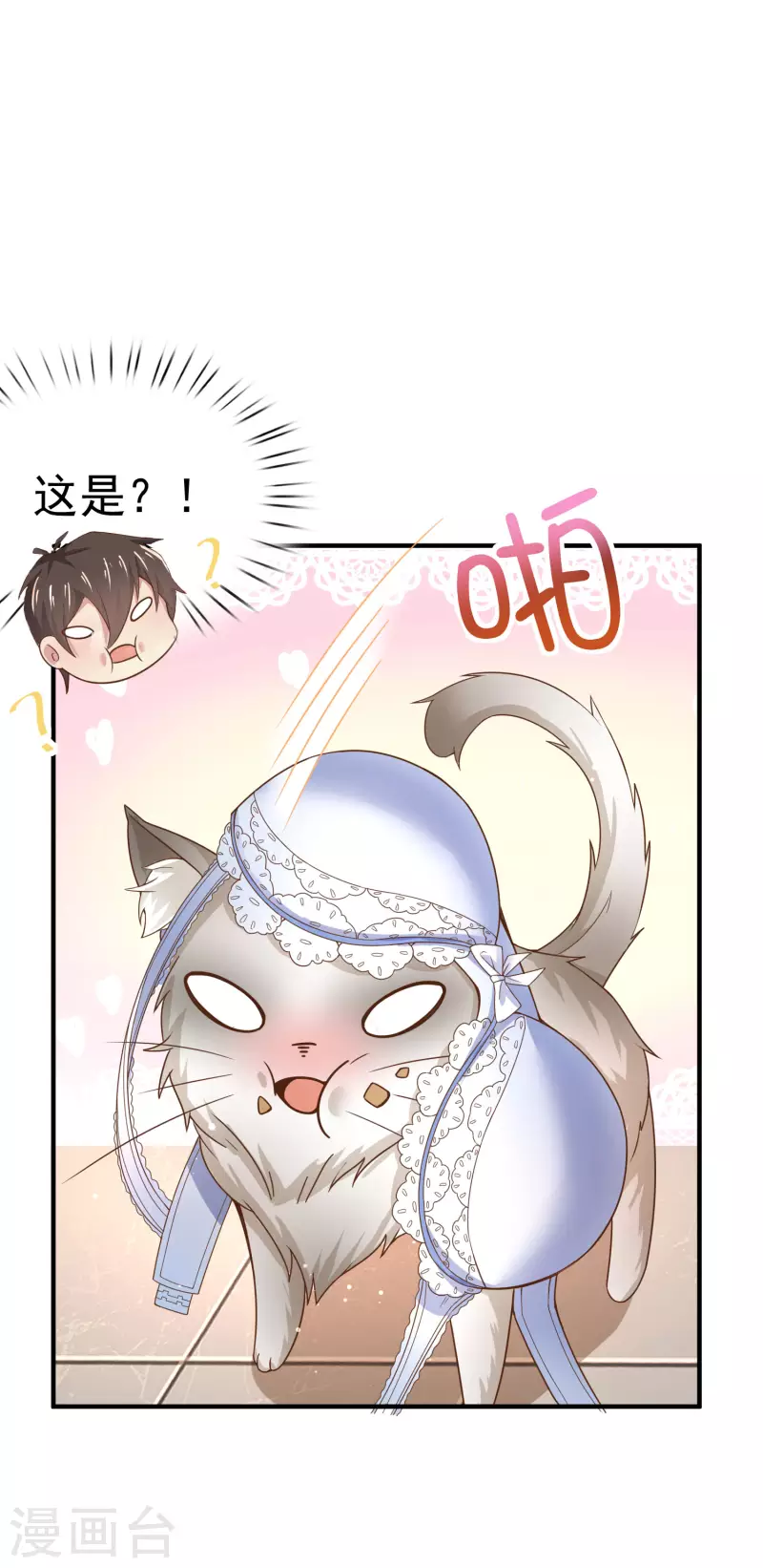 第11话 猫的福利你想象不到11