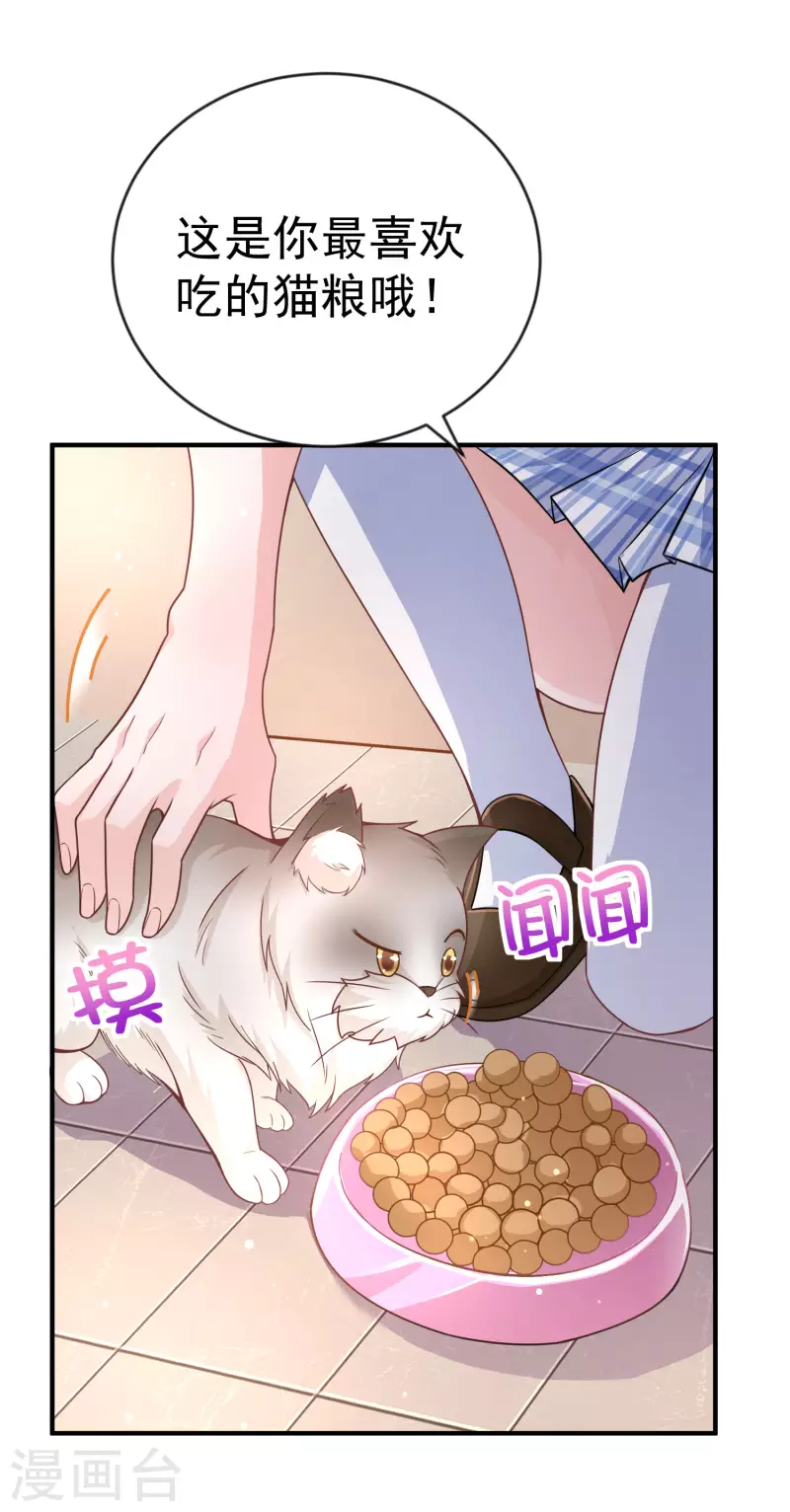 第11话 猫的福利你想象不到4
