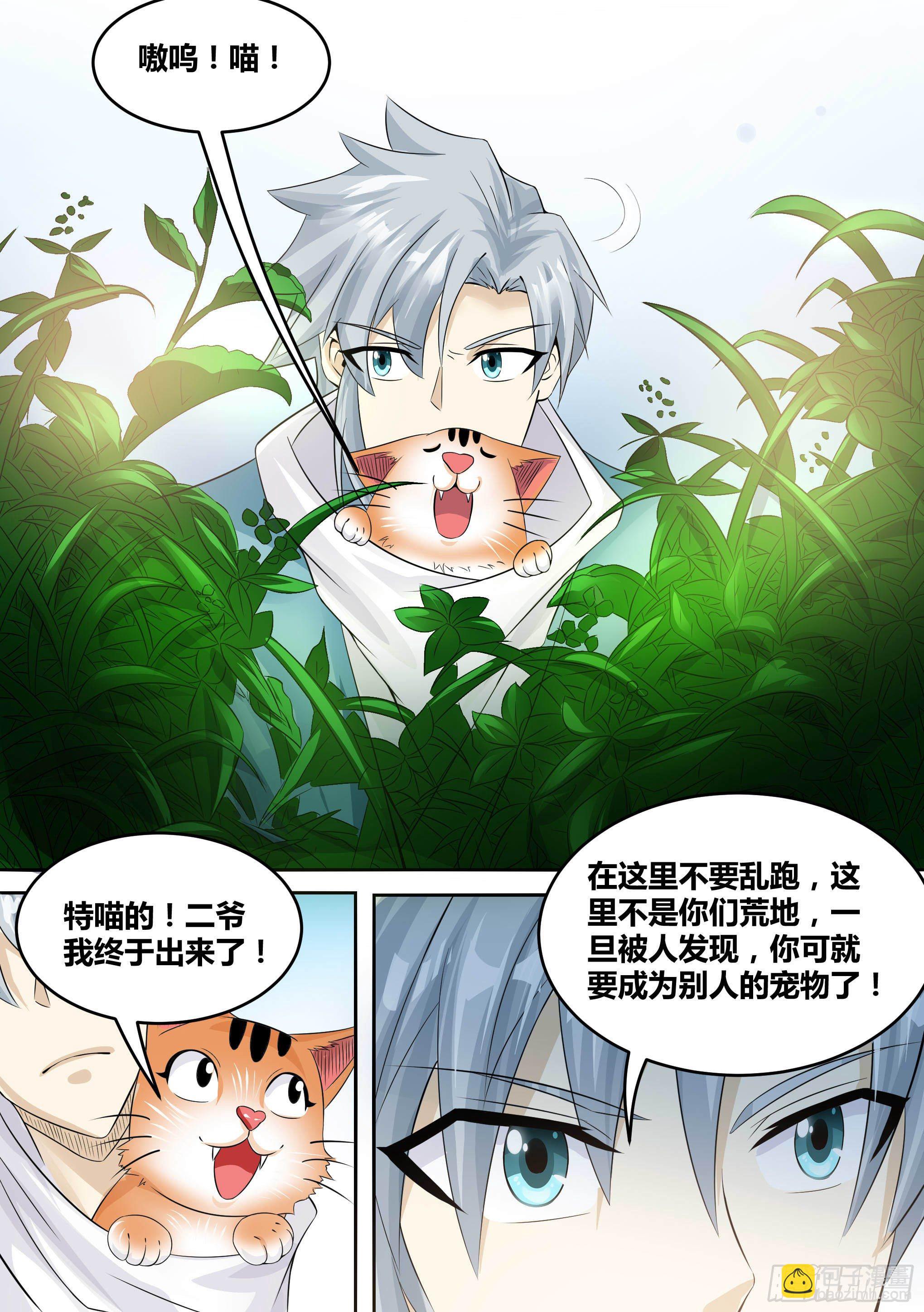 17-猫二爷？13