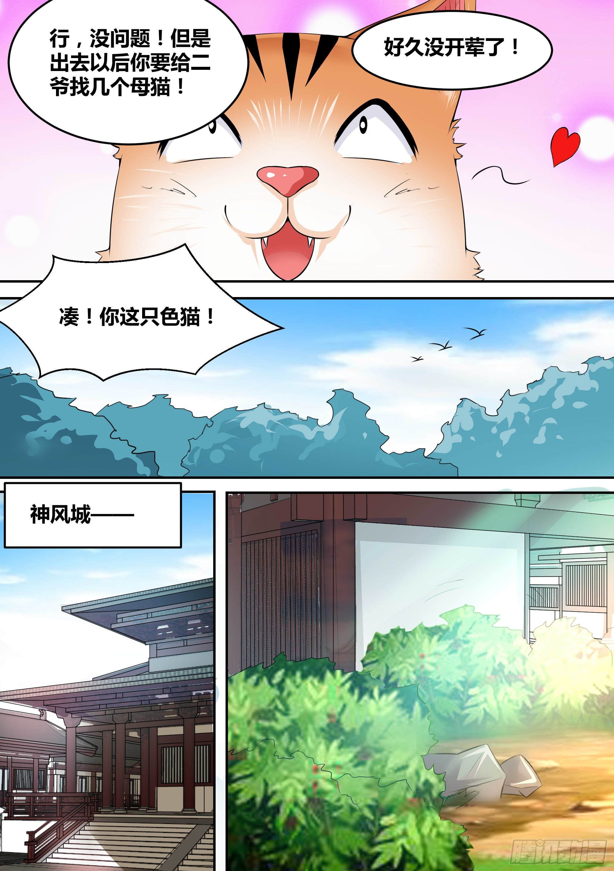 17-猫二爷？12