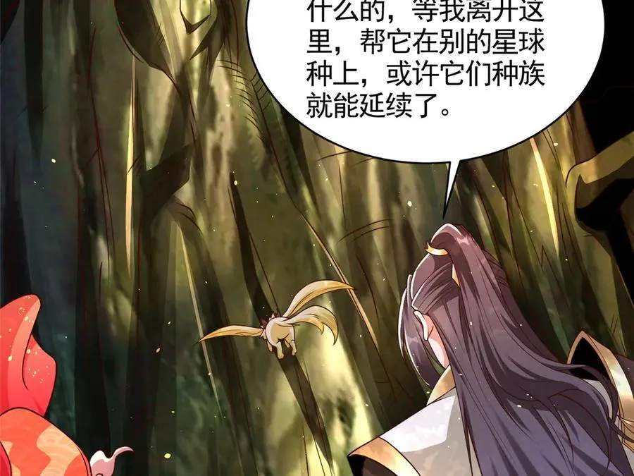 424 巨龙天星33