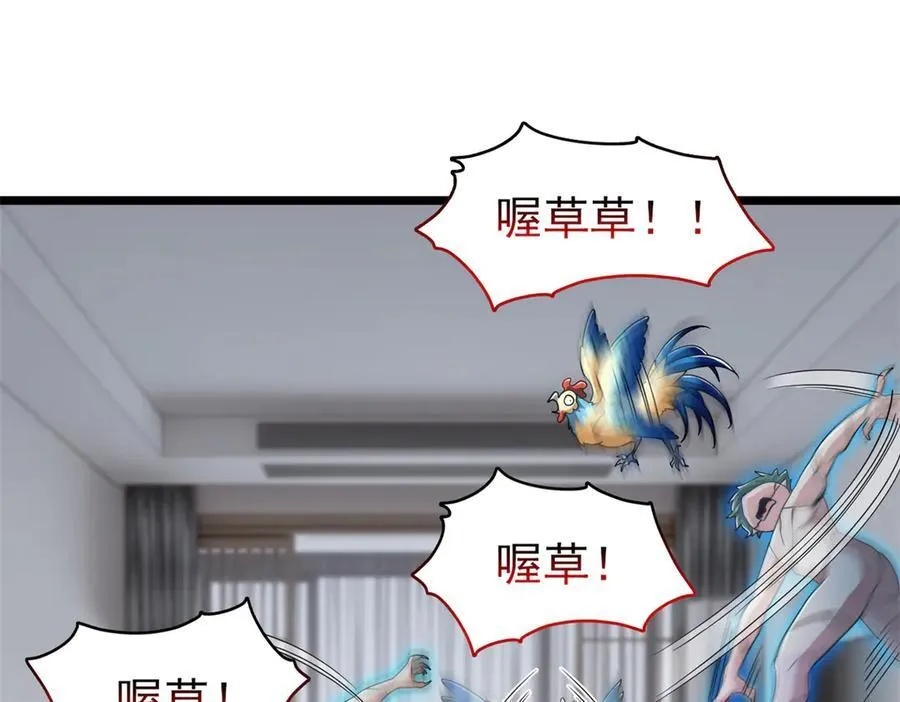 275 公鸡告状，渡珠给鸡5
