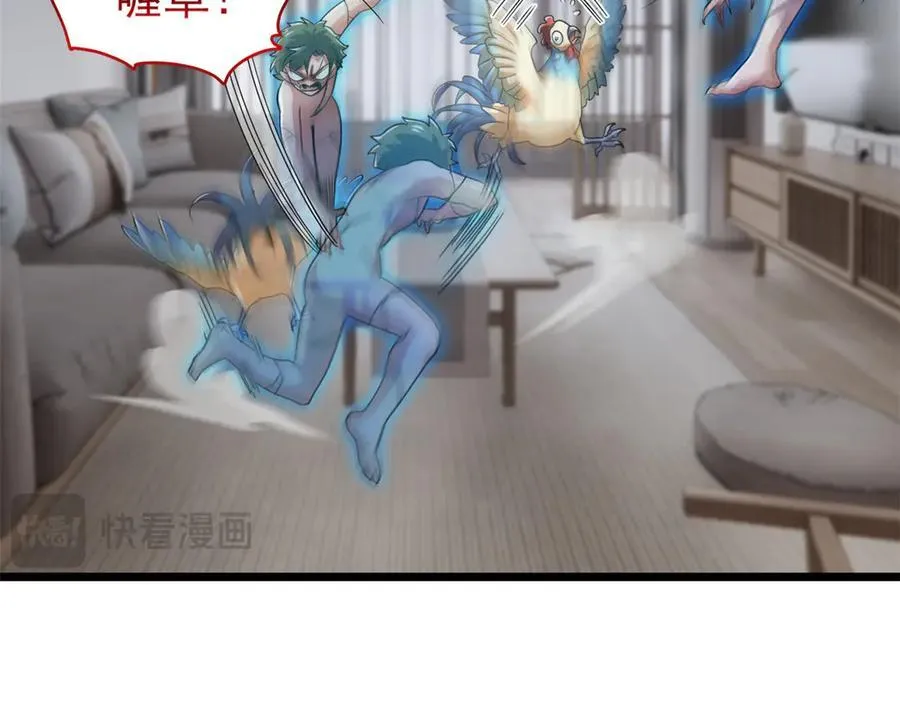 275 公鸡告状，渡珠给鸡6