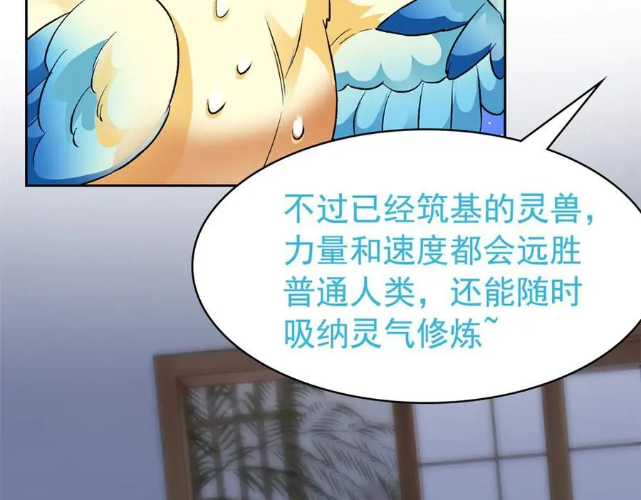 274 公鸡公鸡，你好香啊~67