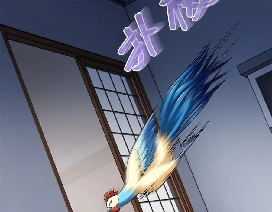 274 公鸡公鸡，你好香啊~102
