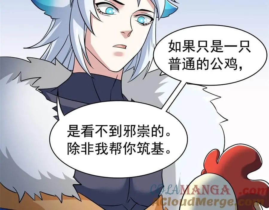 274 公鸡公鸡，你好香啊~36