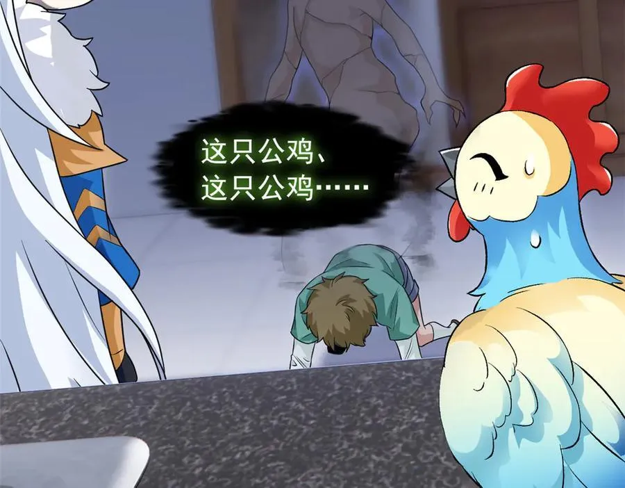 274 公鸡公鸡，你好香啊~69