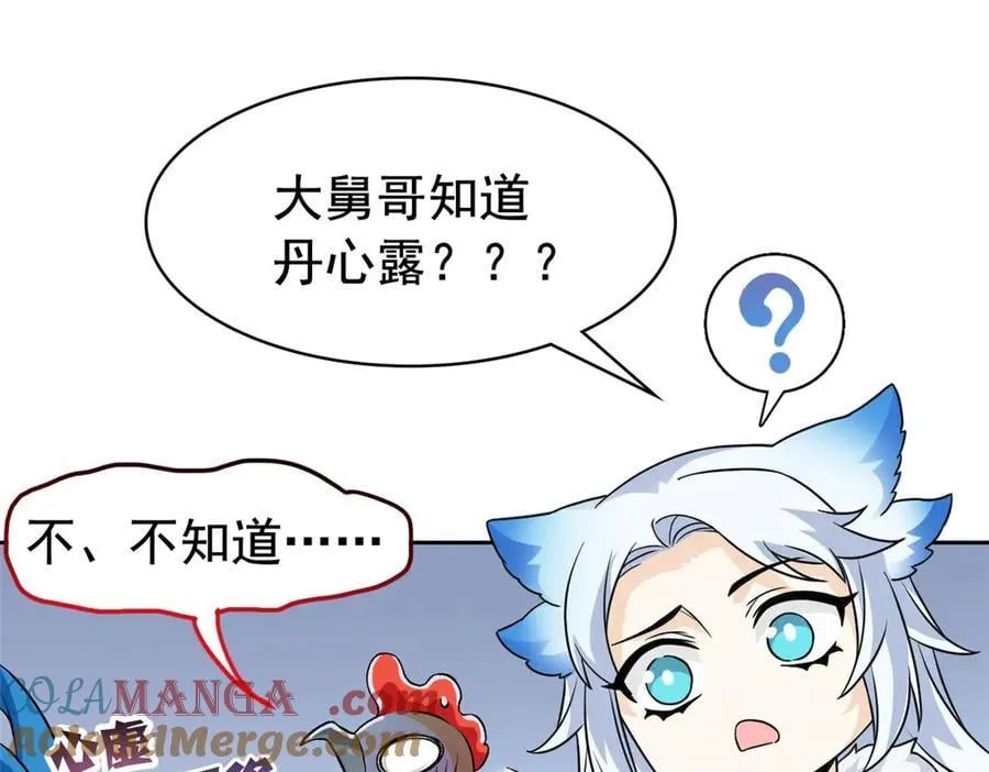 274 公鸡公鸡，你好香啊~60