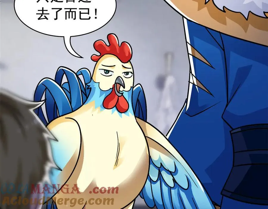 274 公鸡公鸡，你好香啊~12