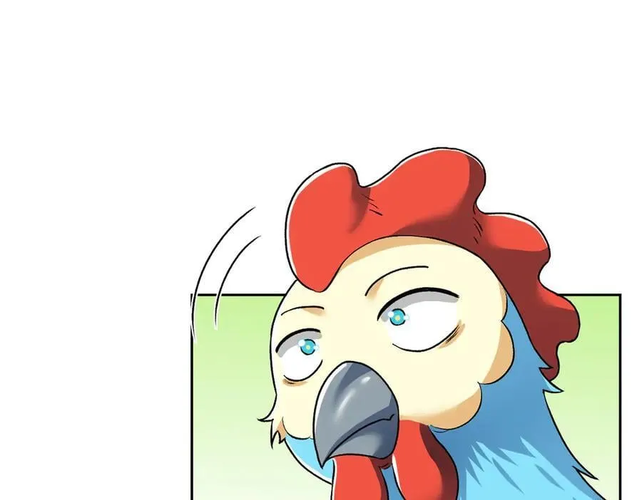 274 公鸡公鸡，你好香啊~38