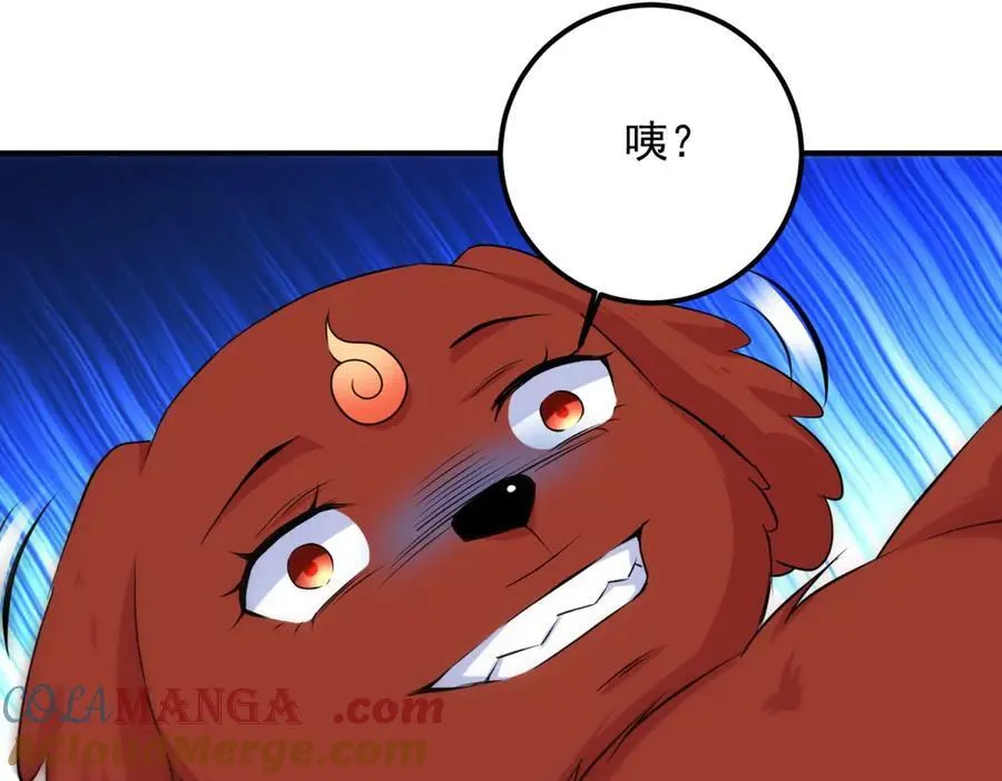 第287话 幼犬39