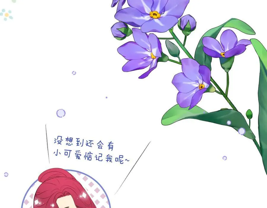 完结后记 白鸠鸠二三事2
