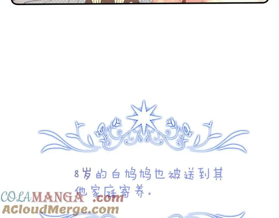 完结后记 白鸠鸠二三事9