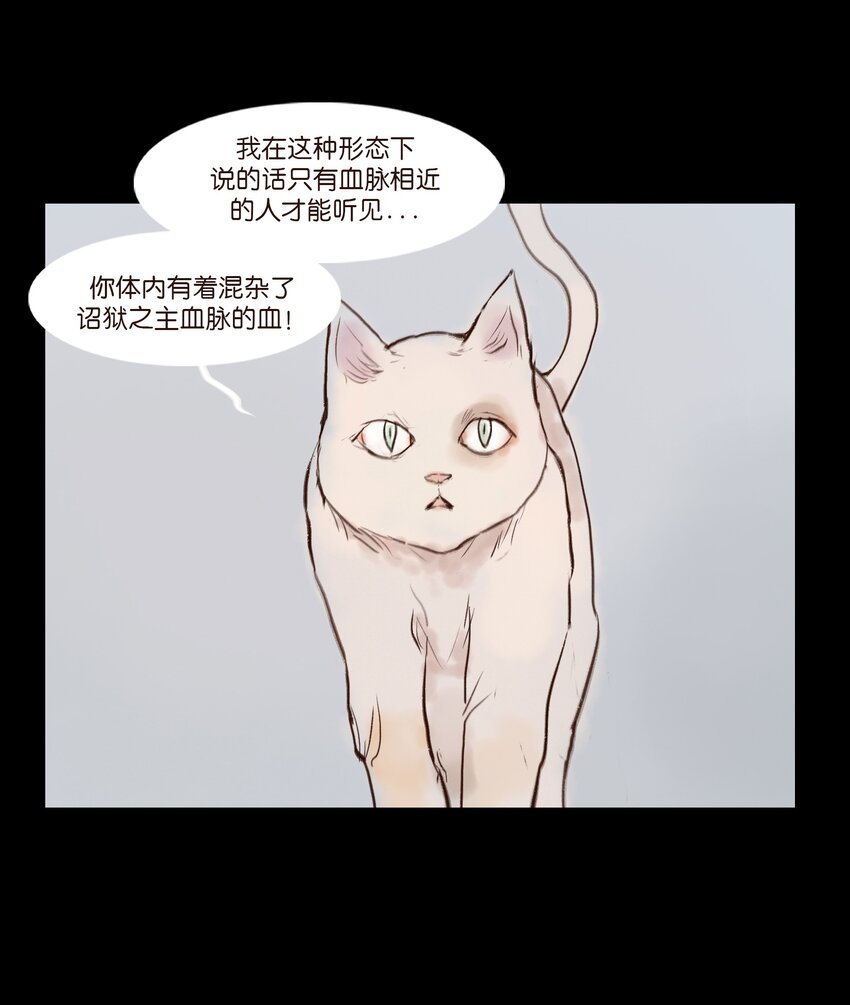 115 龙血11