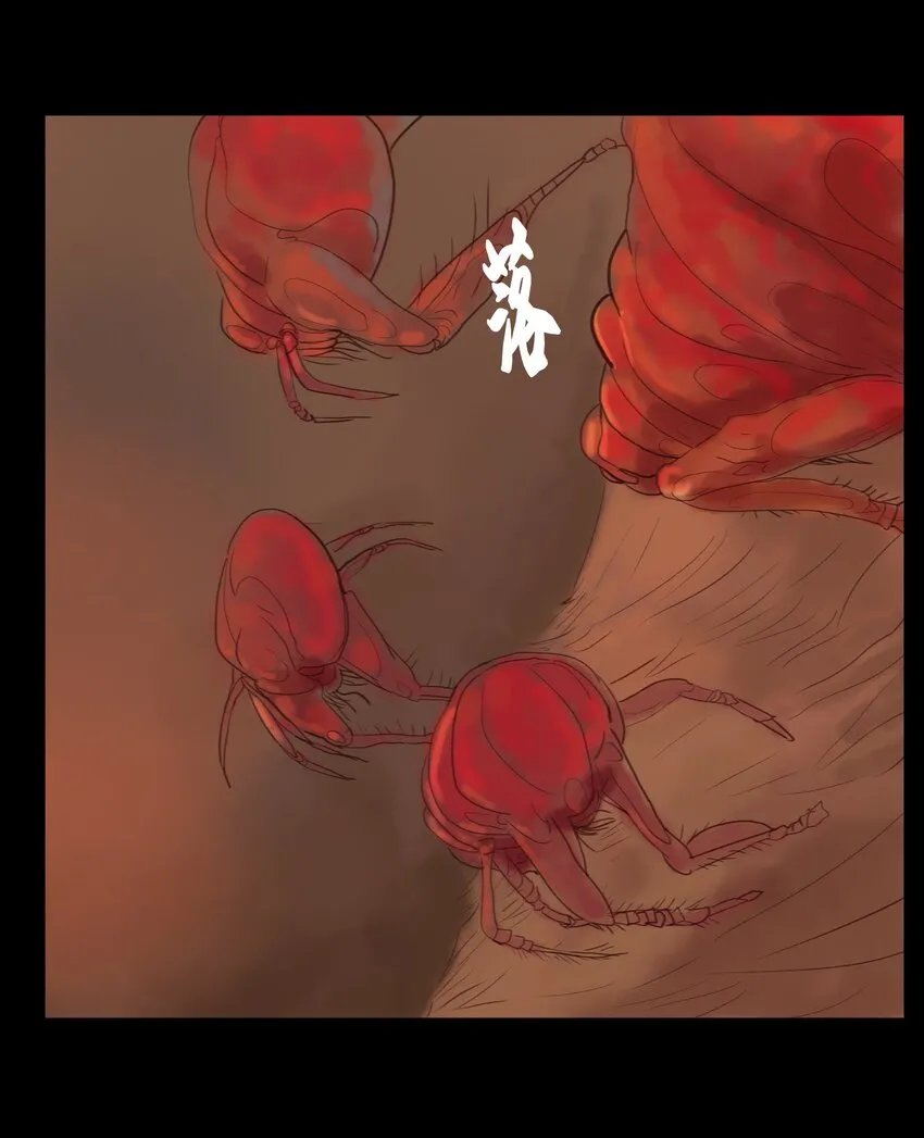 123 跳蚤33