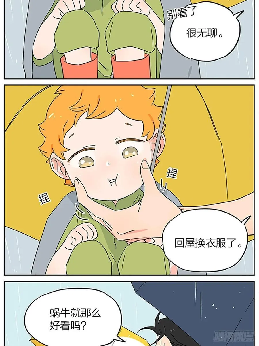 梅雨11