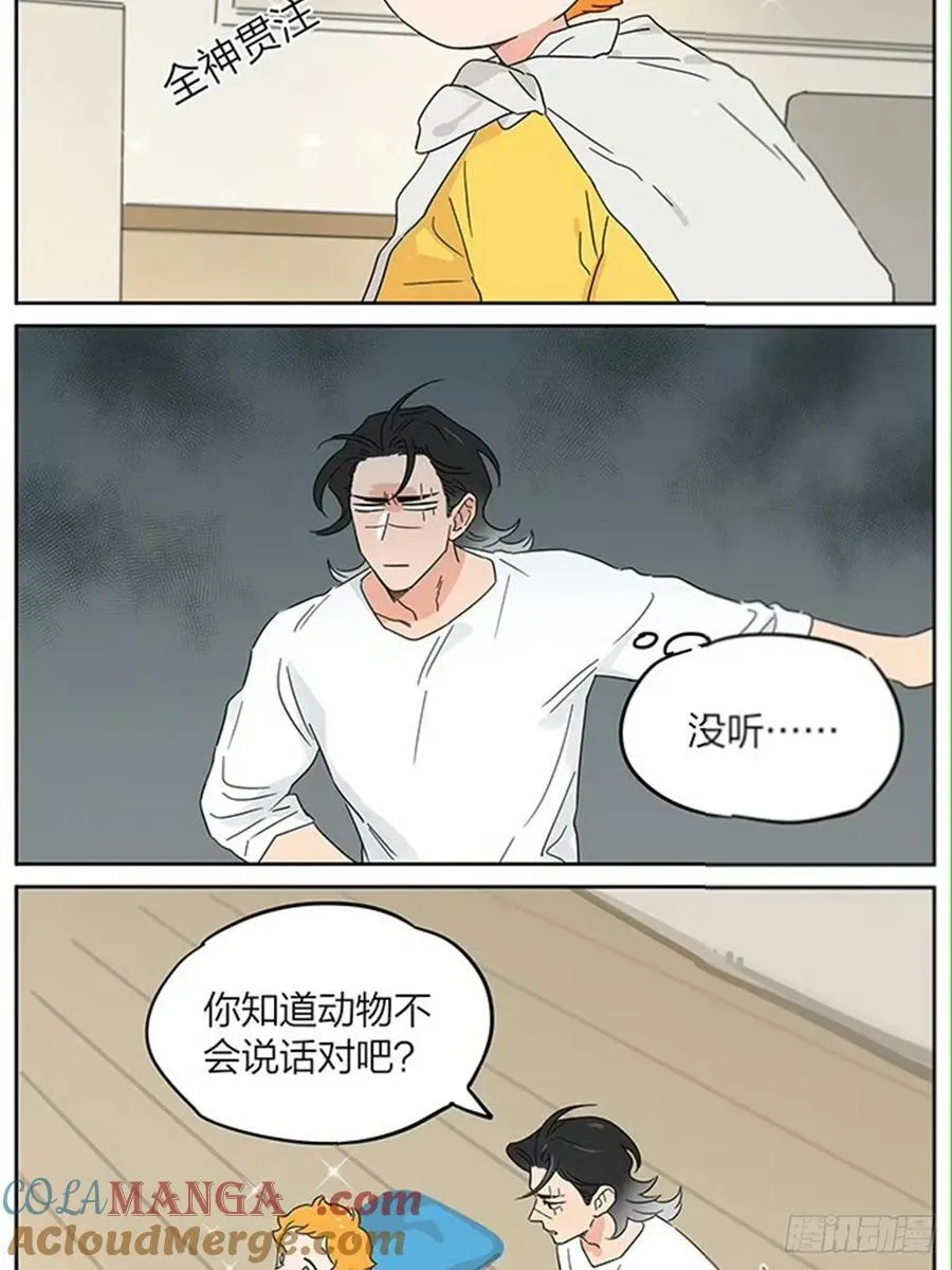 动画片6