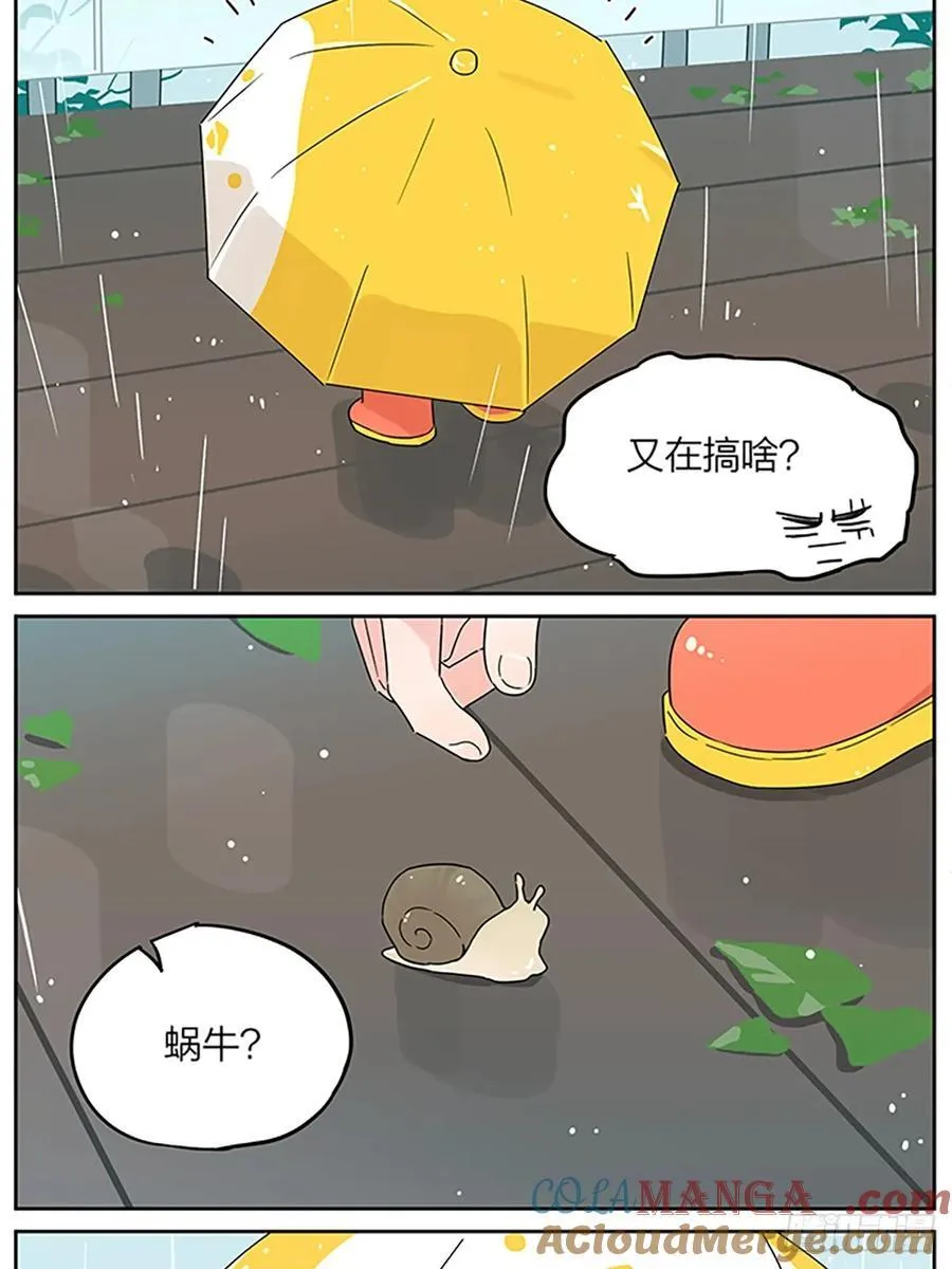 梅雨8