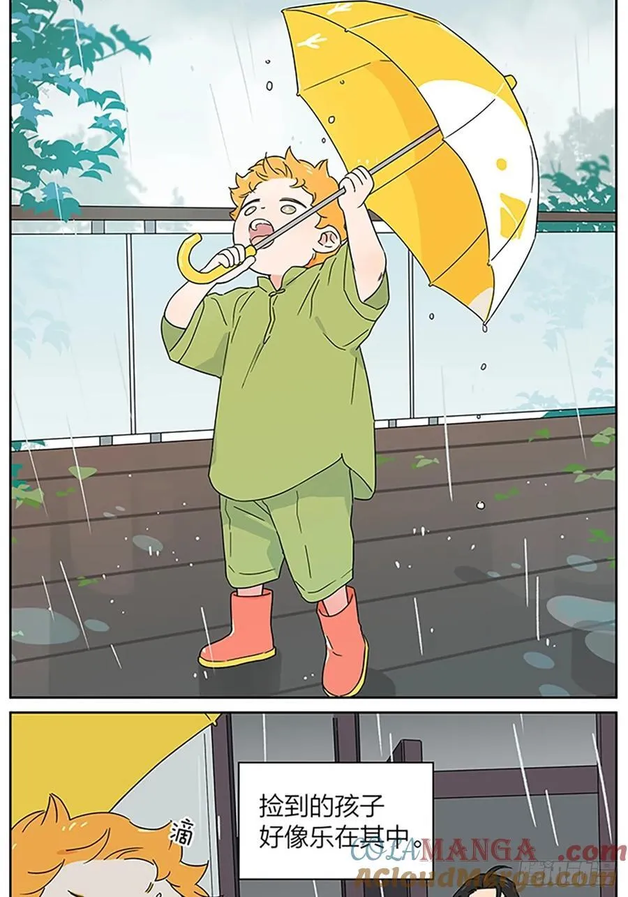 梅雨2