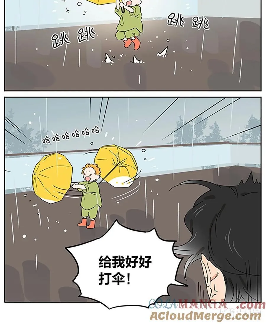 梅雨4
