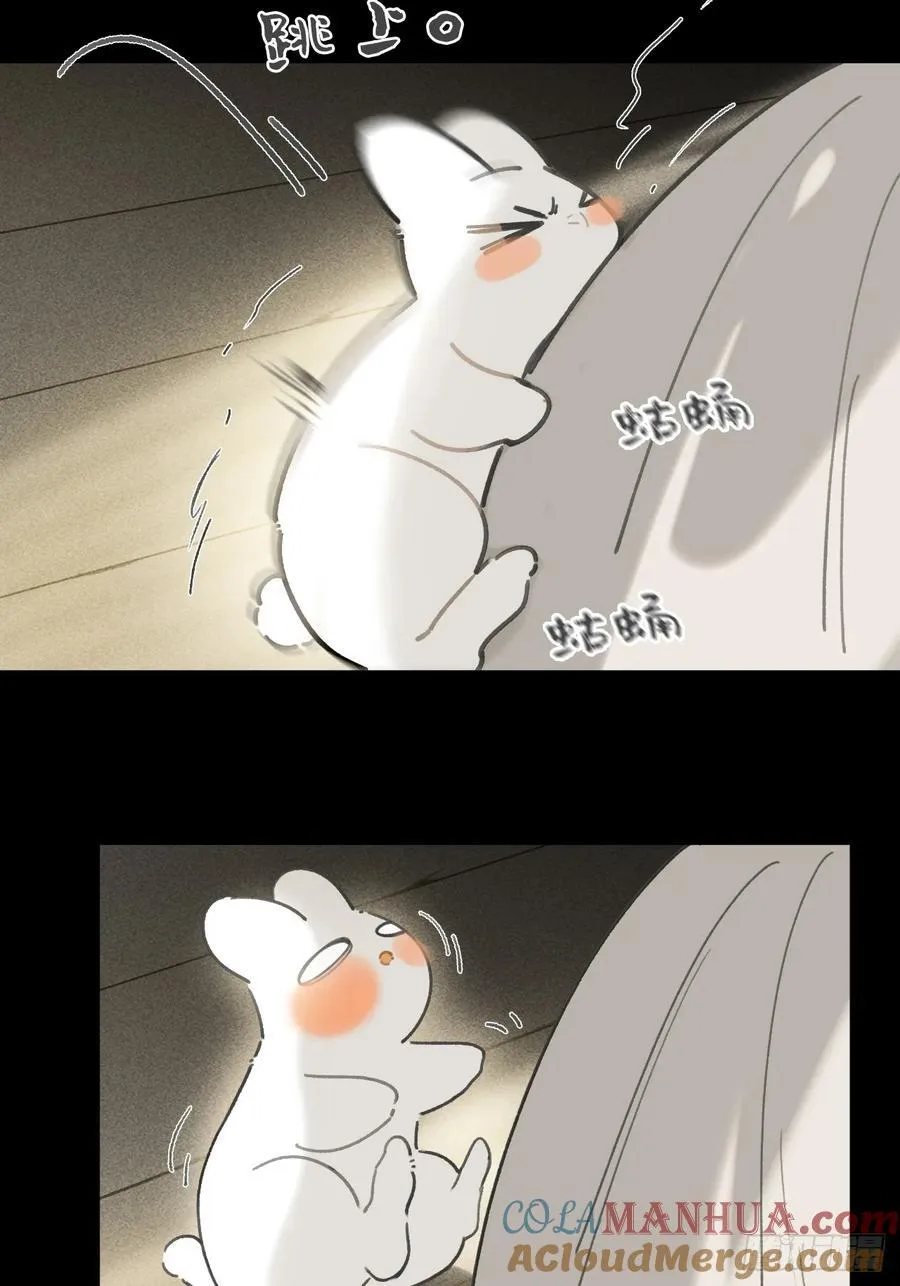 135-项圈的作用-63