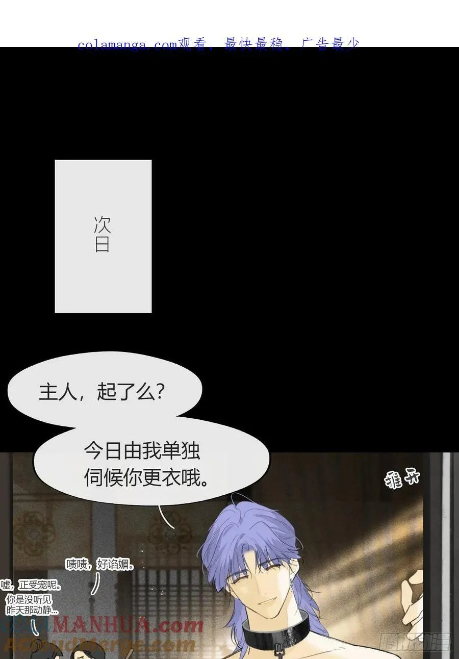 135-项圈的作用-0