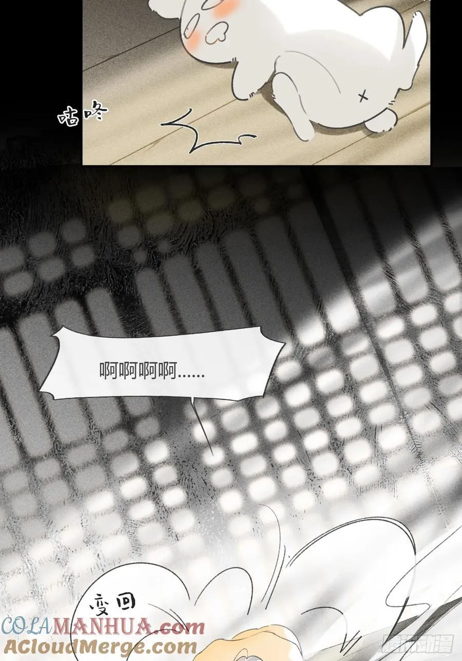 135-项圈的作用-66