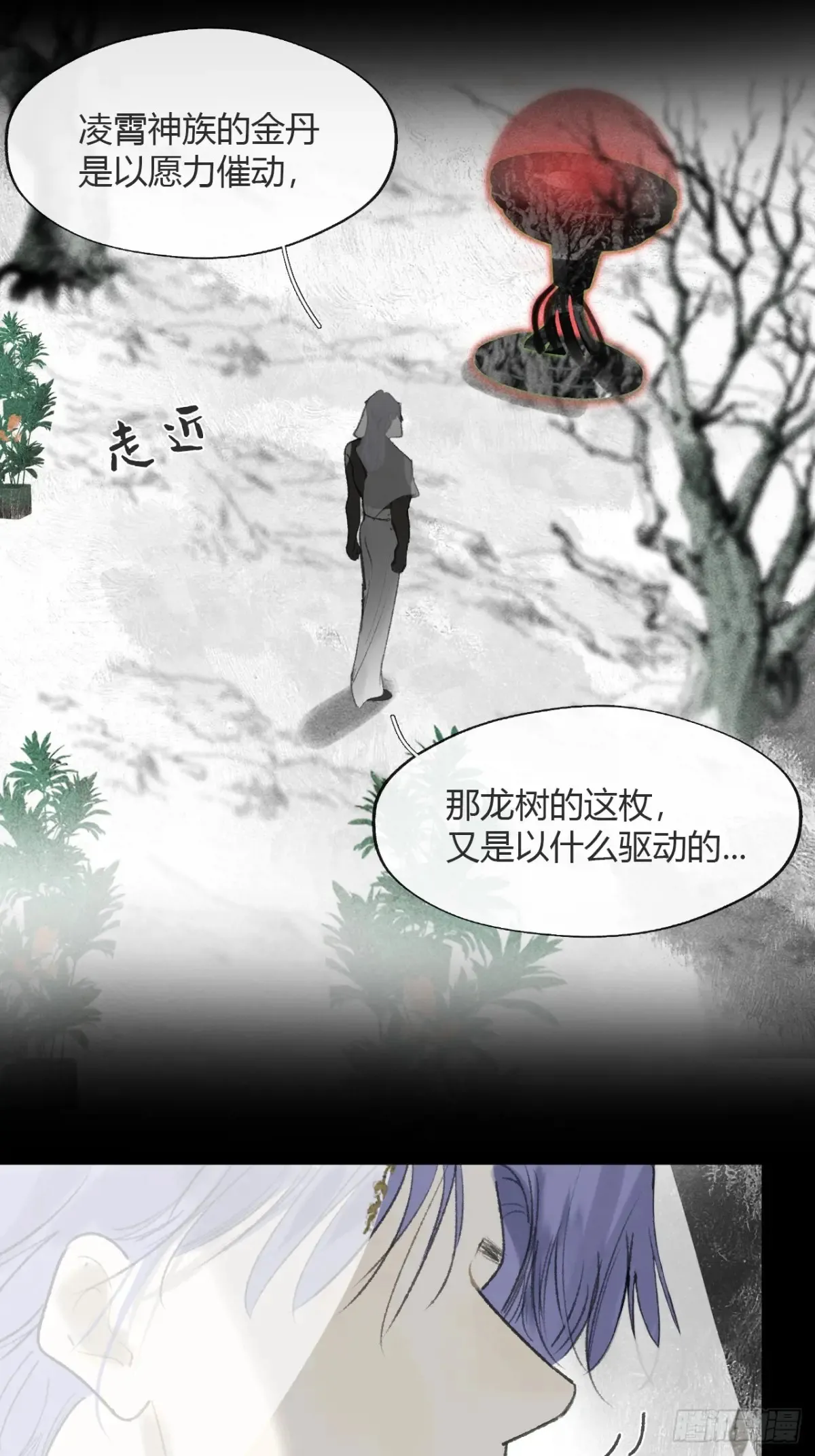 146龙树的秘密·上2