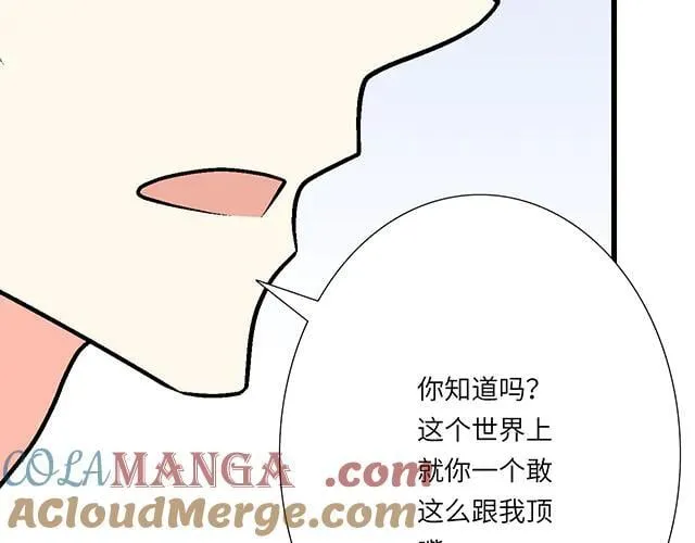 98 斗嘴36