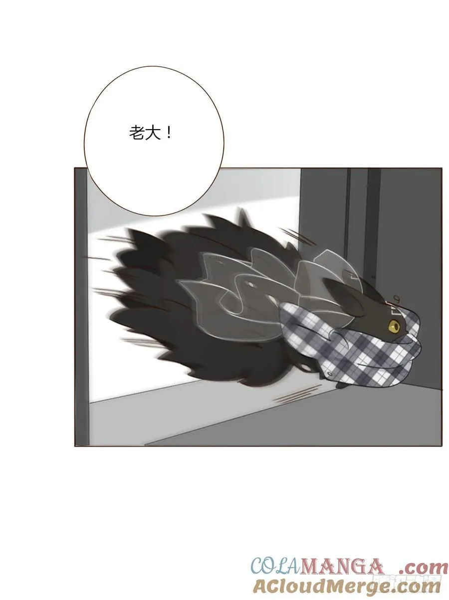 一四二章 六爷爷26