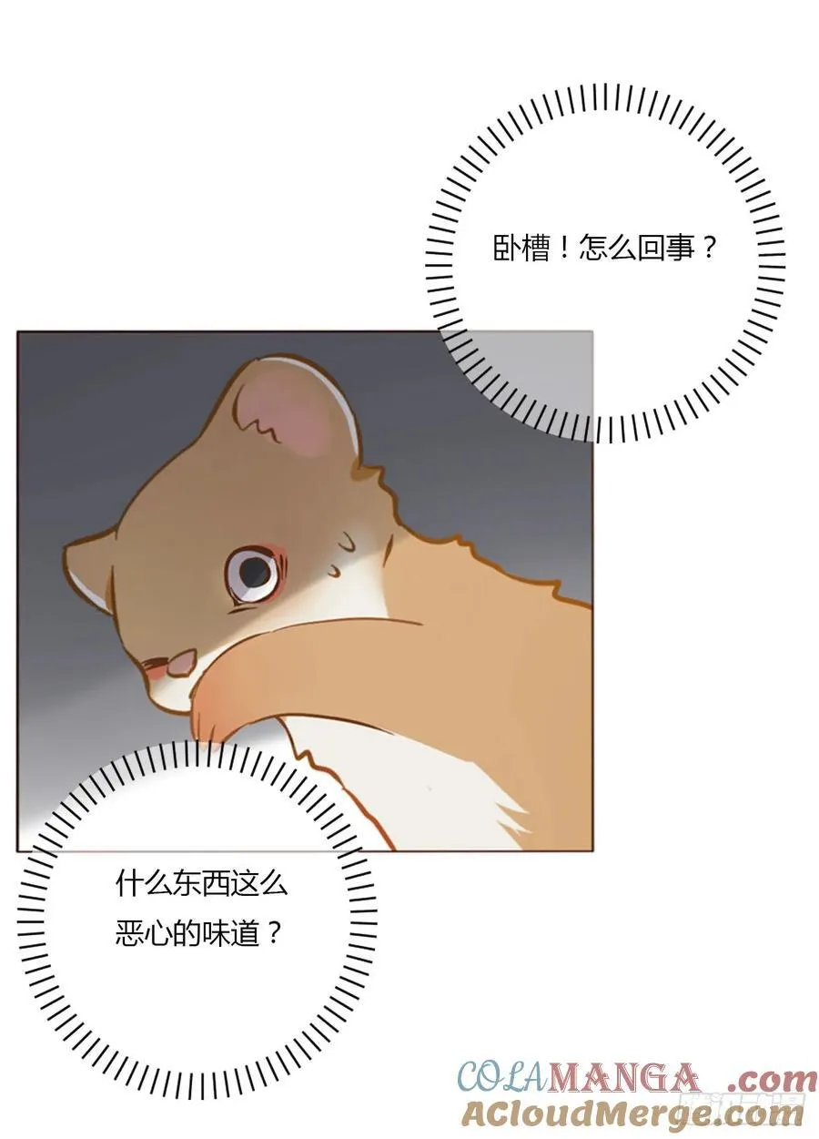 一四一章 叶梓8